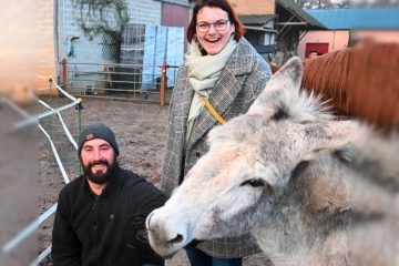 Dalheim / Zu Besuch bei den vierbeinigen Therapiehelfern von „Op de Patten“