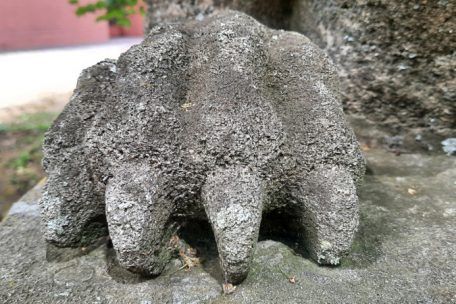 Die Krallen der Sphinx