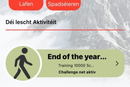 So sehen die unterschiedlichen „Challenges“ aus