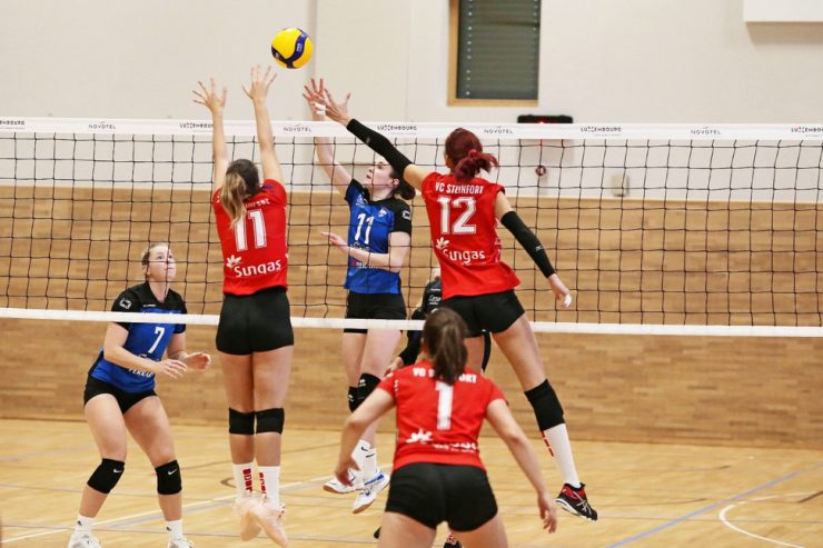 Volleyball / Play-off-Vorbereitungen laufen langsam an