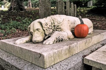 Bello und Co. / Tierbestattungen in Luxemburg: Wohin mit dem toten Haustier?