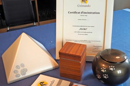 Urnen und Zertifikat von Crémando
