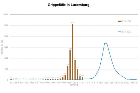 Die Grippewellen der Saison 2021/2022 (in Blau) und 2022/2023 (in Braun) sind hier auf einem Wochen-Zeitstrahl abgebildet. Die jüngste Grippewelle kam demnach deutlich früher als die vorherige – und war offenbar auch etwas kürzer, dafür aber heftiger (Quelle: Gesundheitsministerium, Bearbeitung durch Editpress)