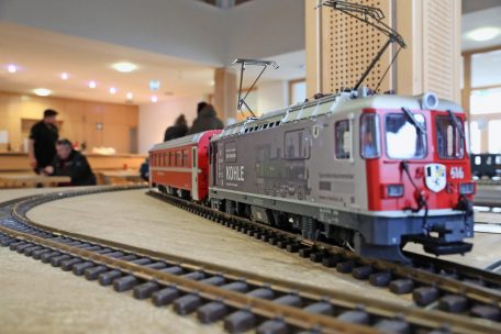 Tauschbörse / Riesenerfolg für die „Lëtzebuerger Gaarde Bunn Frënn Berdorf“