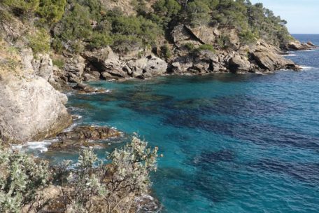 Auf der Mimosenroute streift man immer wieder die Mittelmeerküste
