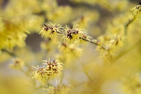 Der Erhalt der Biodiversität ist eine der größten Herausforderungen unserer Zeit