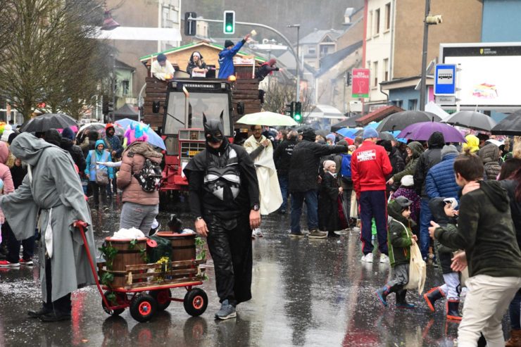 Zum 33. Mal / Die Schifflinger Kavalkade am 26. Februar