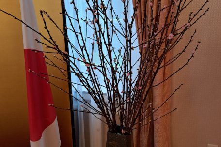 Die 63 Zweige eines japanischen Kirschbaums stehen für den 63. Geburtstag des Kaisers