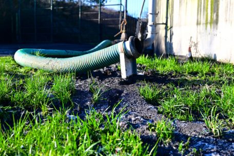 Forum / Naturschändung am laufenden Band