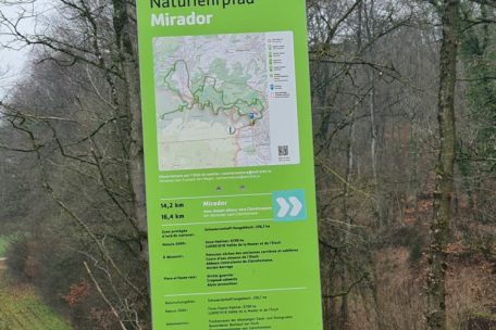 Durch das Naturschutzgebiet führen mehrere Wanderwege