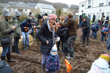 Greenpeace / „Tiny Forest“ soll für besseres Mikroklima in Mertzig sorgen