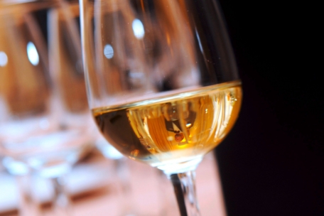 Von Burgund ausgehend hat der Chardonnay seit etwas mehr als hundert Jahren die ganze Welt erobert