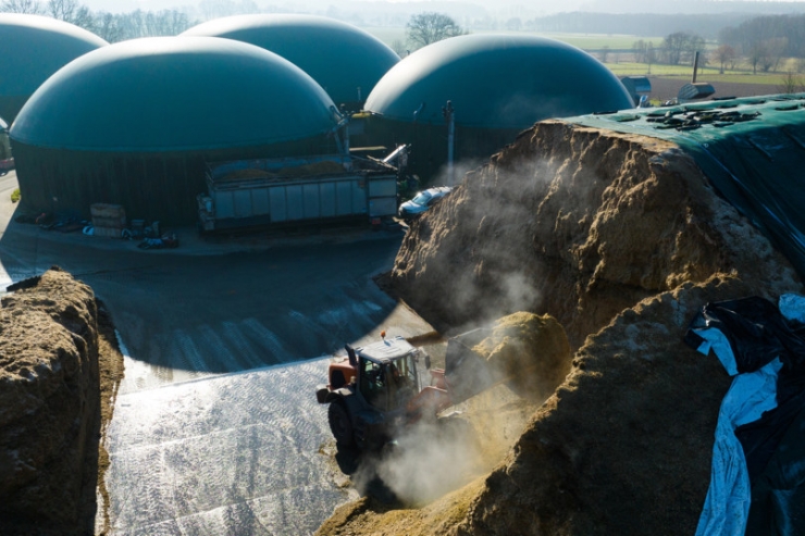 Forum / „Energiegewinnung aus Biomasse kann den Klimawandel nicht bremsen, sondern befeuert ihn“