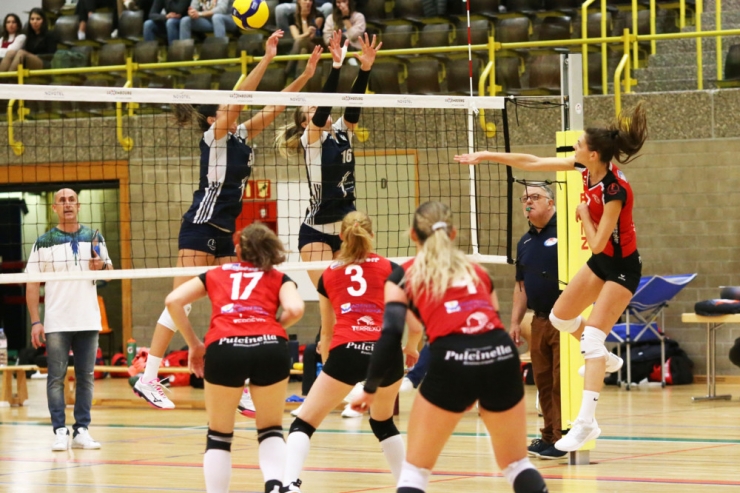Volleyball / Final Four im Pokal: Kann Mamer Favorit Gym ein Bein stellen?