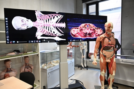 Der Anatomiekurs der Uni Luxemburg erfolgt weitestgehend digital