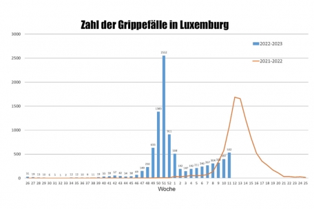 Die blauen Säulen zeigen: Nach der recht frühen Influenza-Welle Ende vergangenen Jahres steigen die Fallzahlen derzeit wieder an. (Quelle: Gesundheitsministerium, bearbeitet von Editpress)