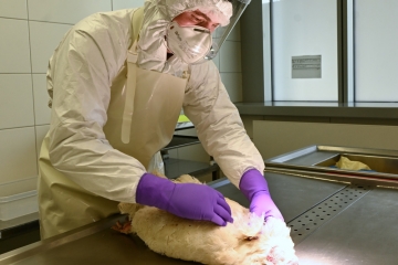 Düdelingen / „Der Gendarm der Lebensmittelsicherheit“: Ein Besuch im Tierärztlichen Staatslabor