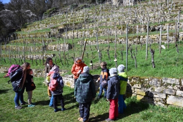 „miniWënzer“ / Den Weinberg spielerisch entdecken