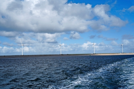An der Hafenküste in Rotterdam stehen etliche Windräder