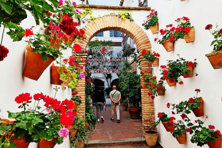 Reisen / Die Patios von Córdoba: Andalusiens lauschige Innenhöfe