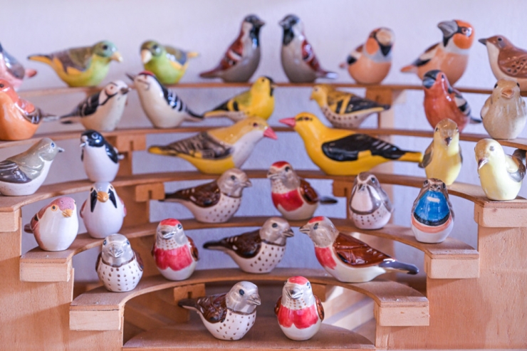 Péckvillercher / Auf der Jagd nach dem Bluthänfling