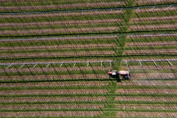 Luxemburg / Landwirtschaftsministerium will Bauern über Beihilfen zum Glyphosat-Verzicht ermuntern