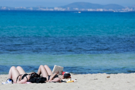 Haie vor Mallorca / Urlauber besorgt, Forscher erfreut 