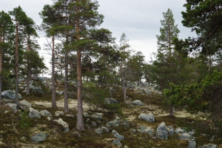Der Nationalpark ist ein Trekkinggebiet für Selbstversorger: Dank Jedermannsrecht darf man überall sein Zelt aufschlagen