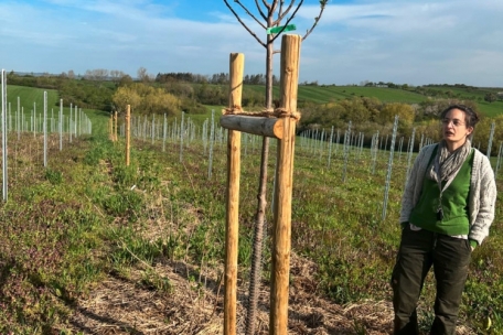 Corinne Kox ist promovierte Biologin und setzt sich mit ihrer Arbeit als Winzerin, hier in der Parzelle „Joala“ auf dem Remicher Scheuerberg, für mehr Nachhaltigkeit und Artenvielfalt im Weinberg ein