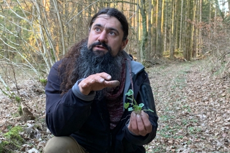 Kräuterwanderung / Mit wachen Augen die Flora betrachten