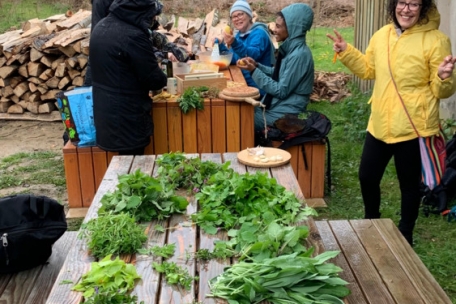 Essbare Kräuter, darunter Brennnesseln, Taubnesseln, Labkräuter, Bärlauch, Sternmieren, Schaumkräuter, Gundermann und Doldenblüter, werden bestimmt und anschließend zubereitet