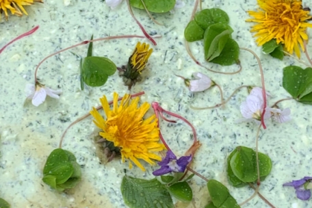 Diesen Wildkräuterquark haben die Kursteilnehmer gemeinsam im Wald zubereitet