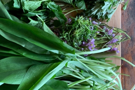 Wildkräuter für Kräuterbutter