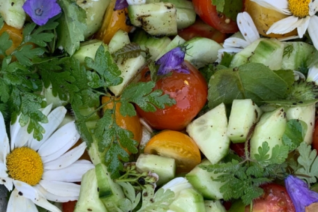 Salat mit Tomaten, Gurken und wilden Blüten