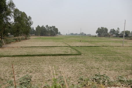 Auf den Inseln, wie im gesamten Land, wird jeder leicht fruchtbare Quadratmeter genutzt