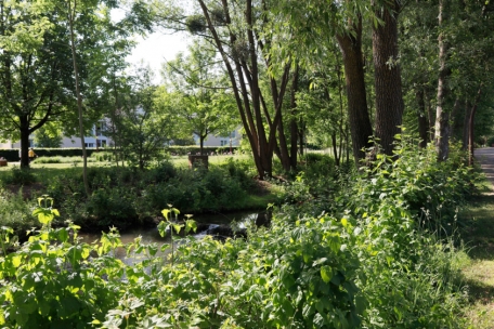 Gemeindewahlen / In Kayl-Tetingen sind alle Optionen möglich