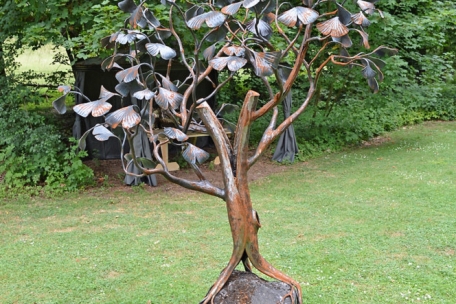 Der Ginkgo des Engländers Mark Prouse