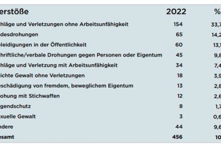 Diese im Rahmen von häuslichen Gewalt verübten Delikte zählt der Report auf