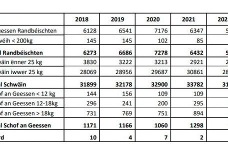 Anzahl der Tiere, die im Schlachthof in Wecker in den vergangenen fünf Jahren geschlachtet wurden