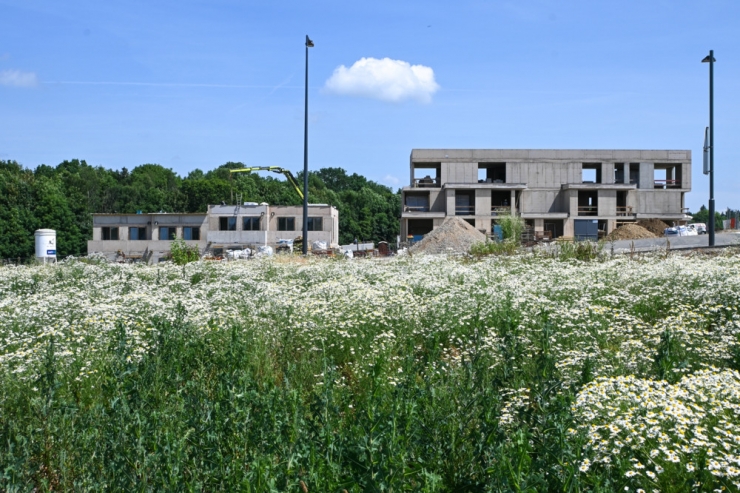 Grundbesitz / Konzentration beim Bauland treibt die Luxemburger Immobilienpreise