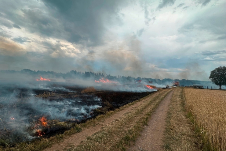 Luxemburg / Kleine Reflexe mit großer Wirkung: Wie sich das Risiko von Vegetationsbränden verringern lässt