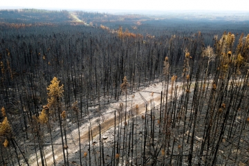 Kanada / Hubschrauberpilot bei Kampf gegen Waldbrände tödlich verunglückt