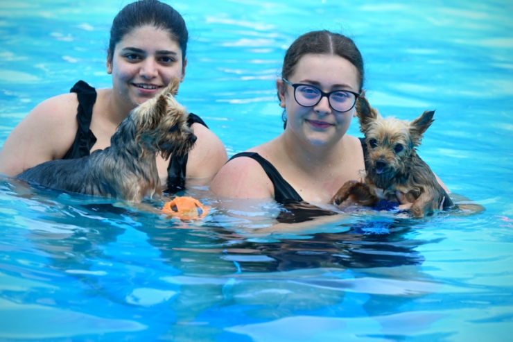 Wuff! / Hundeschwimmen in Düdelingen: 200 Vierbeiner und ein Schwimmbad