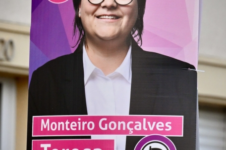 So sehen die Hohlkammerplakate der Piraten aus