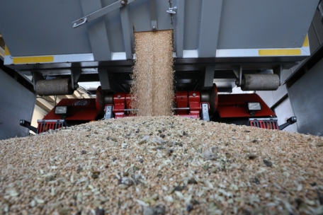 Erntegespräch / Dramatische finanzielle Einbußen für viele Landwirte 