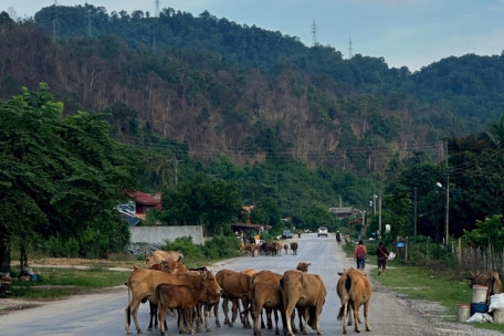 Auf den Stra&szlig;en in Laos geht es mitunter eher gem&auml;chlich voran