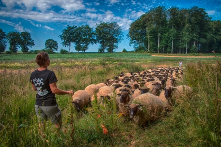 Kunstecke / Immaterielles Kulturerbe im Mittelpunkt