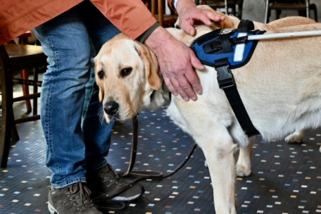 Das Geschirr ist an: Der Job beginnt 