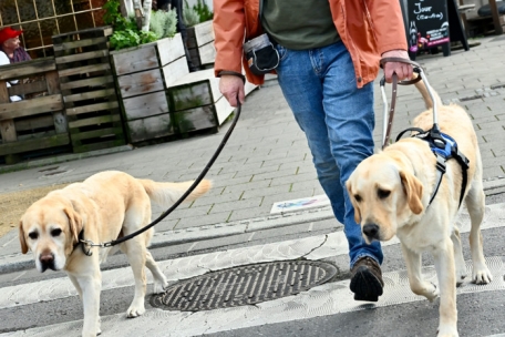 Jean-Marie mit den beiden Hunden