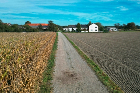 Österreich / Joggerin von Hund totgebissen